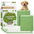Produktbild: Pogi Trainingspads für Hunde – 60 × 90 cm, extra groß, umweltbewusst, für mittelgroße bis große Hunde – 40 Stück