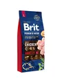 Produktbild: Brit Premium by Nature Adult L 15 kg M-BRADL15