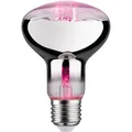 Produktbild: Paulmann LED PFLANZENLAMPE E27 6,5W / PAULMA GROW GREEN R80 28733