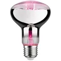 Produktbild: Paulmann Led Grow Green Pflanzenlampe R80 6,5 W E27 Reflektor Leuchtmittel