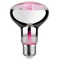 Produktbild: LED Plant R80 Pflanzen Reflektor Grow Green Edition E27 Paulmann 28733