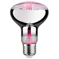 Produktbild: Grow Green Edition Filament 230V LED Reflektor E27 R80 R80 200lm 6,5W 1300K
