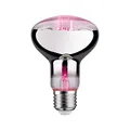 Produktbild: Paulmann 28733 LED Lampe Pflanzenlicht 6,5W Leuchtmittel Wachstumslicht Beleuchtung Licht 1300K E27