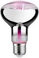 Produktbild: Paulmann LED-Pflanzenlampe Wachstum 230V E27 6.5W Bernstein 1St.