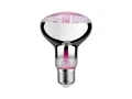 Produktbild: Paulmann LED-Leuchtmittel Paulmann LED Grow Green Pflanzenlampe R80 6,5 W, Nicht dimmbar