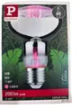 Produktbild: Paulmann LED Grow Green Pflanzenlampe Ø 80 mm, 6,5 W, 200 lm, E27, 1300 K