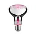 Produktbild: LED-BIRNE 6,5W GROßE E27 SOCKEL FÜR GRÜNE PFLANZEN 287.33