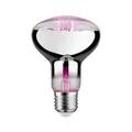 Produktbild: Paulmann LED Grow Green Pflanzenlampe R80 6,5 W E27 Reflektor  Leuchtmittel