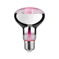 Produktbild: Paulmann LED Grow Green Pflanzenlampe Ø 80 mm, 6,5 W, 200 lm, E27, 1300 K