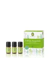 Produktbild: Primavera Duftende Hausapotheke Duftset 15 ml