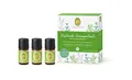 Produktbild: PRIMAVERA ätherische Öle Set Duftende Hausapotheke - Geschenkbox 3 x 5 ml Lavendel fein, Teebaum, Pfefferminze - Aromaöl, Duftöl, Aromatherapie, Geschenke - vegan