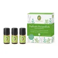 Produktbild: Primavera Duftende Hausapotheke 3x 5ml Bio Qualität 100% naturrein