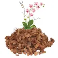 Produktbild: ProFlora® Orchideenerde - Biologisch abbaubares, torffreies Orchideensubstrat aus Kokoschips (10 Liter)