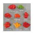 Produktbild: Stk - 40x Schärfste Chili der Welt Mix Gemüse Pflanzen - Samen A106 - Seeds & Plants Shop by Ipsa