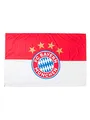 Produktbild: FC Bayern München Hissflagge Logo 180x120cm