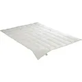 Produktbild: Daunensteppbett Irisette Greenline ultra leicht Größe 135 x 200 cm