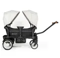 Produktbild: BabyGo Bollerwagen Bollerwagen Zwillingswagen Cozy Rider, Verwendbar ab ca. 1-5 Jahre (2 x 22 kg)