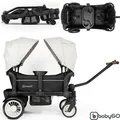 Produktbild: Bollerwagen Buggy Handwagen Zwillingswagen Kinderwagen Strandwagen Cozy Rider