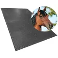 Produktbild: Vivol Gummi Stallmatten 122x183cm - 10mm - Pferdestallmatten mit rutschfesten Noppen - Gummimatten Boden - Gummi Matte fur Pferde Einfaches Verlegen und Zuschneidbar