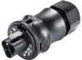 Produktbild: Wieland Steckverbinder RST20I3S S1 ZR2 V SW, Stecker, 10-14 mm, schwarz