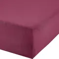Produktbild: Erwin Müller Boxspringbett-Spannbettlaken Freising Elasthan-Jersey-Stretch - aubergine Größe 180x200 cm - 200x220 cm - dehnbar, antipilling, bügelfrei, Rundumgummi