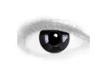 Produktbild: MeralenS Motivlinsen Schwarze 'Black Out' Manga Fun Linsen 1 Paar. Halloween & Cosplay