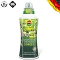 Produktbild: 1 Liter COMPO Grünpflanzen- & Palmendünger, Flüssigdünger, Pflanzenwachstum 💡