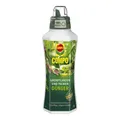 Produktbild: COMPO Grünpflanzen- und Palmendünger 1 Liter Spezial- Flüssigdünger