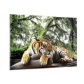 Produktbild: Wandbilder 100x70cm Glasbild Tiger Dschungel Ruhe Groß Bilder Art Wanddeko