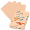 Produktbild: Papyrus Kopierpapier Rainbow 88042505, A4, 160g/qm, lachs, 250 Blatt