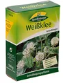 Produktbild: Quedlinburger 205506 Weißklee 500 g (Gründünger)