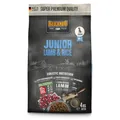 Produktbild: Belcando Junior Lamb & Rice [4 kg] Hundefutter | Trockenfutter für Junghunde | Alleinfuttermittel für Junghunde ab 4 Monaten