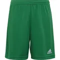 Produktbild: adidas Shorts für Kinder Entrada 22 grün IC7410 (140cm) (140) (IC7410)