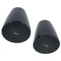 Produktbild: Bose Professional DesignMax DM5P black