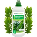 Produktbild: Purgrün® Glücksfeder-Dünger 1 Liter – Wirkt schnell und effizient – Premium-Flüssigdünger mit Spurennährstoffen – Stärkt die Widerstandskraft – Ergiebiges Konzentrat für ca. 400 Liter Gießwasser