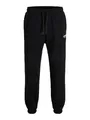 Produktbild: JACK & JONES Jpstkane Soho Sweat Pants Noos