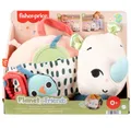 Produktbild: 194735254316 Nosorożec aktywizujący przytulanka Fisher Price