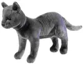 Produktbild: Heunec 621169 - Katze Karajan, Schule der magischen Tiere, Plüschtier, 30 cm