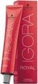 Produktbild: Schwarzkopf Igora Royal 6-63 Dunkelblond Schoko Matt