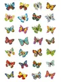 Produktbild: HERMA Etikett Herma 6819 Sticker MAGIC Schmetterlinge Glitterfolie