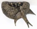 Produktbild: Deko Figur Schwalbennest Gartenfigur H 17 cm Dekofigur Kupfer-Antik Kunststoff