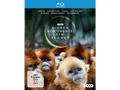 Produktbild: Sieben Kontinente - Ein Planet Blu-ray