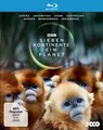 Produktbild: Sieben Kontinente - Ein Planet [Blu-ray]