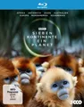Produktbild: SIEBEN KONTINENTE-EIN PLANET - ATTENBOROUGH,DAVID (PRESENTER)  3 BLU-RAY NEU