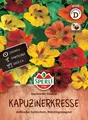 Produktbild: Kapuzinerkresse 'Rankender Roland' - Tropaeolum majus, Insektenweide Samen 85718