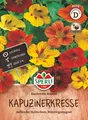 Produktbild: Kapuzinerkresse Rankender Roland Samen von SPERLI