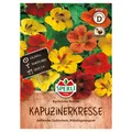 Produktbild: Sperli Saatgut Kapuzinerkresse 'Rankender Roland', bunt