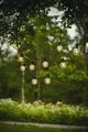 Produktbild: Star LED-Party-Kette 'Big Circus Filament', 10-teilig,