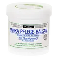 Produktbild: Dr. Sacher's Arnika Pflegebalsam mit Sanddornöl, 250 ml, 1 Stück