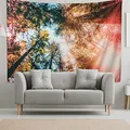 Produktbild: riijk Wandteppich Wald extra groß 250x180cm. Motiv „Wald Himmelblick“. Auch als Picknickdecke. Großes Wandtuch für tolle Raum-Atmosphäre